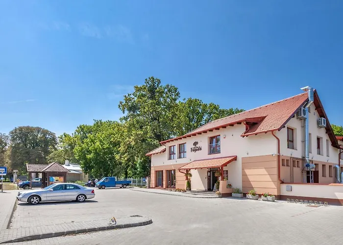 Toelgyfa Fogado B&B 3*